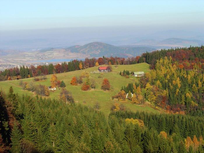 Pension & Restaurace Zeleny Mlyn Žacléř Exteriör bild